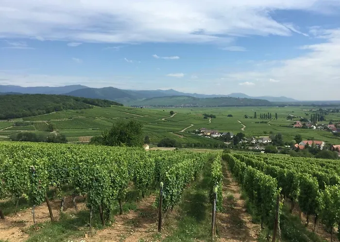 Vakantiehuis La Tour Du Florimont